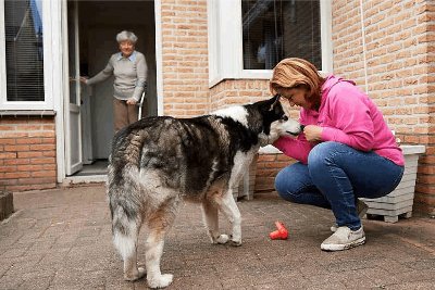 Care4YourPet uitlaatservice en oppasdienst