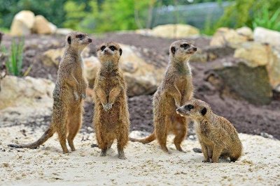 Dierenpark Nordhorn